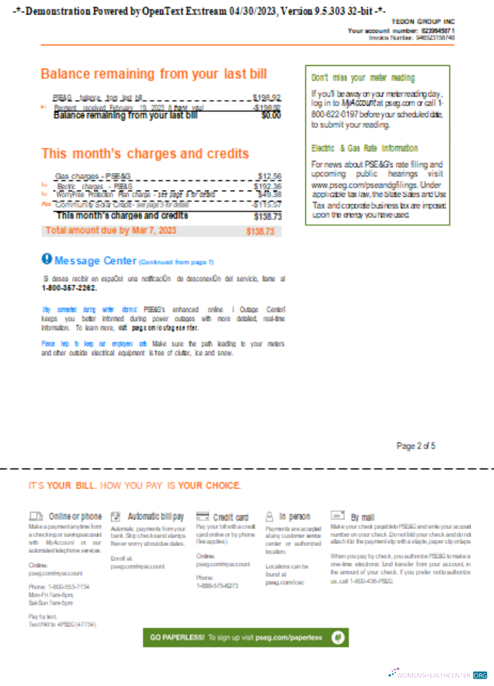 Download New York PSEG utility business bill, page 2, SCR Photoshop template